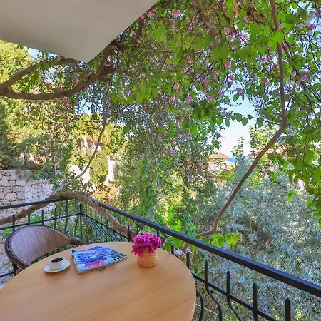 Hill House Adult Only 4*