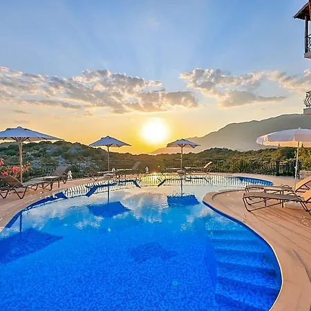 Hill House Adult Only كاس