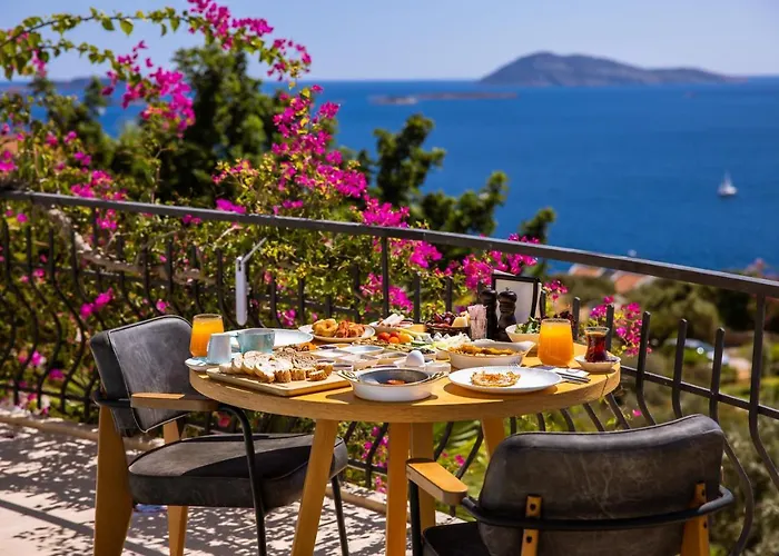 Hill House Adult Only 4*