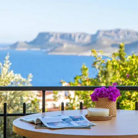 Hill House Adult Only 4*