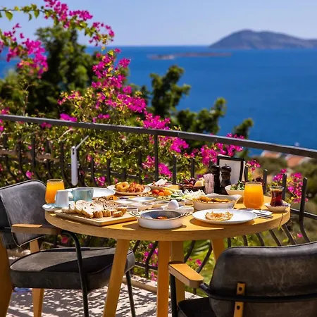 Hill House Adult Only 4*